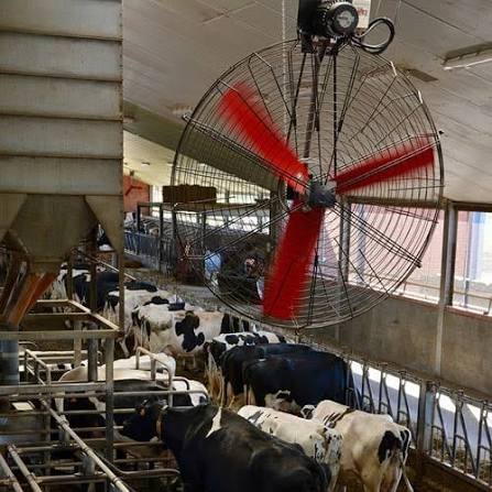 Ventilación